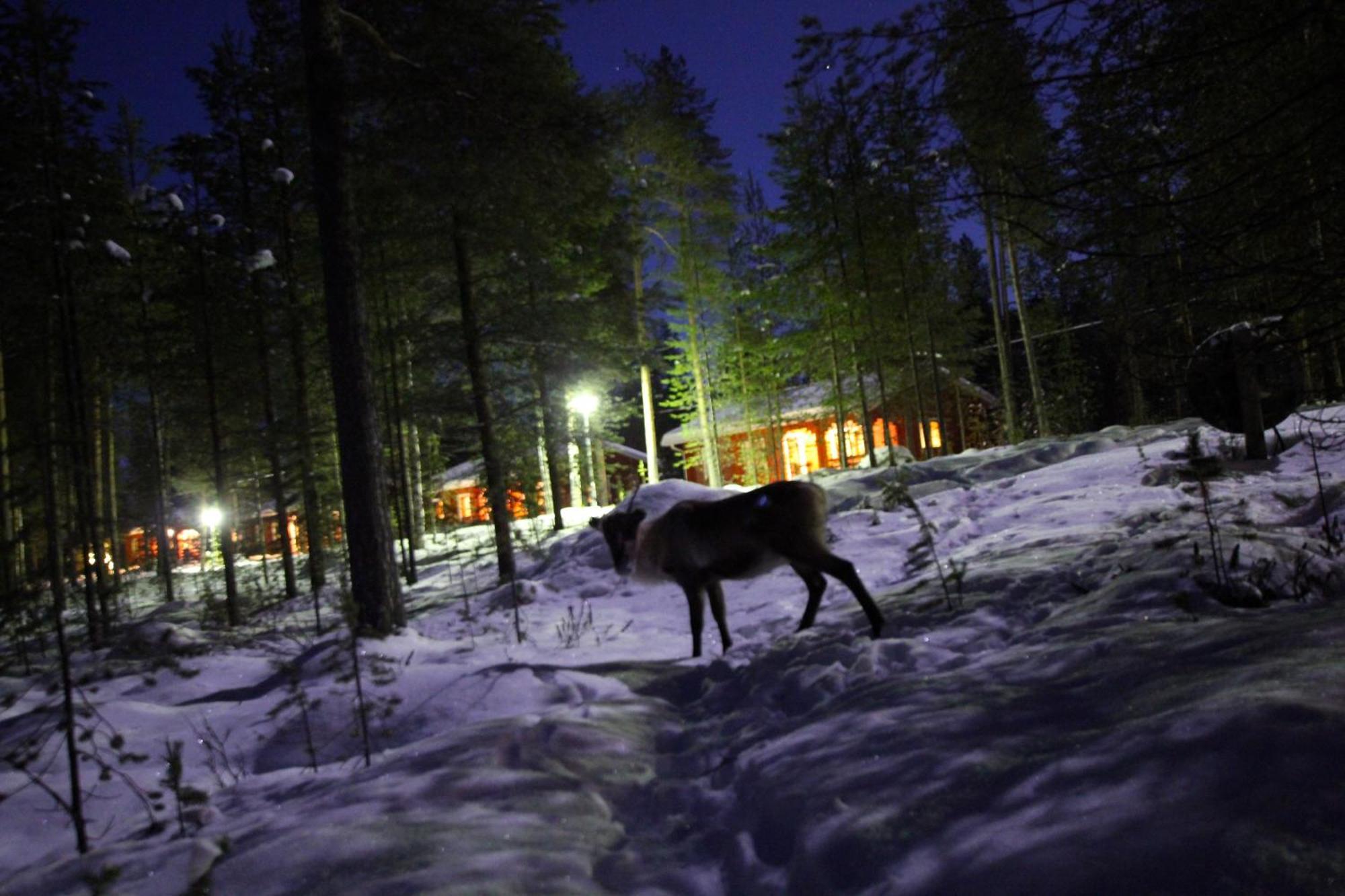 Ukonjaerven Holiday Village Ivalo Exterior photo