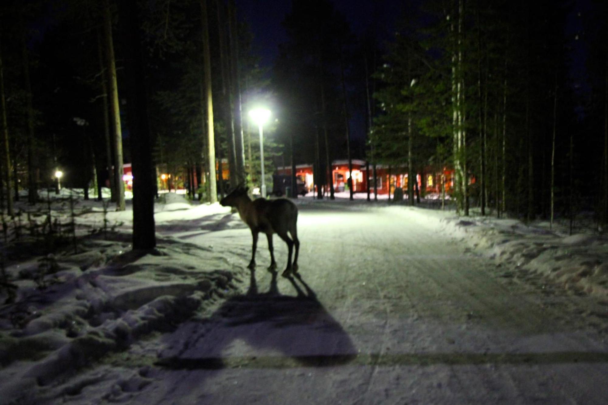 Ukonjaerven Holiday Village Ivalo Exterior photo