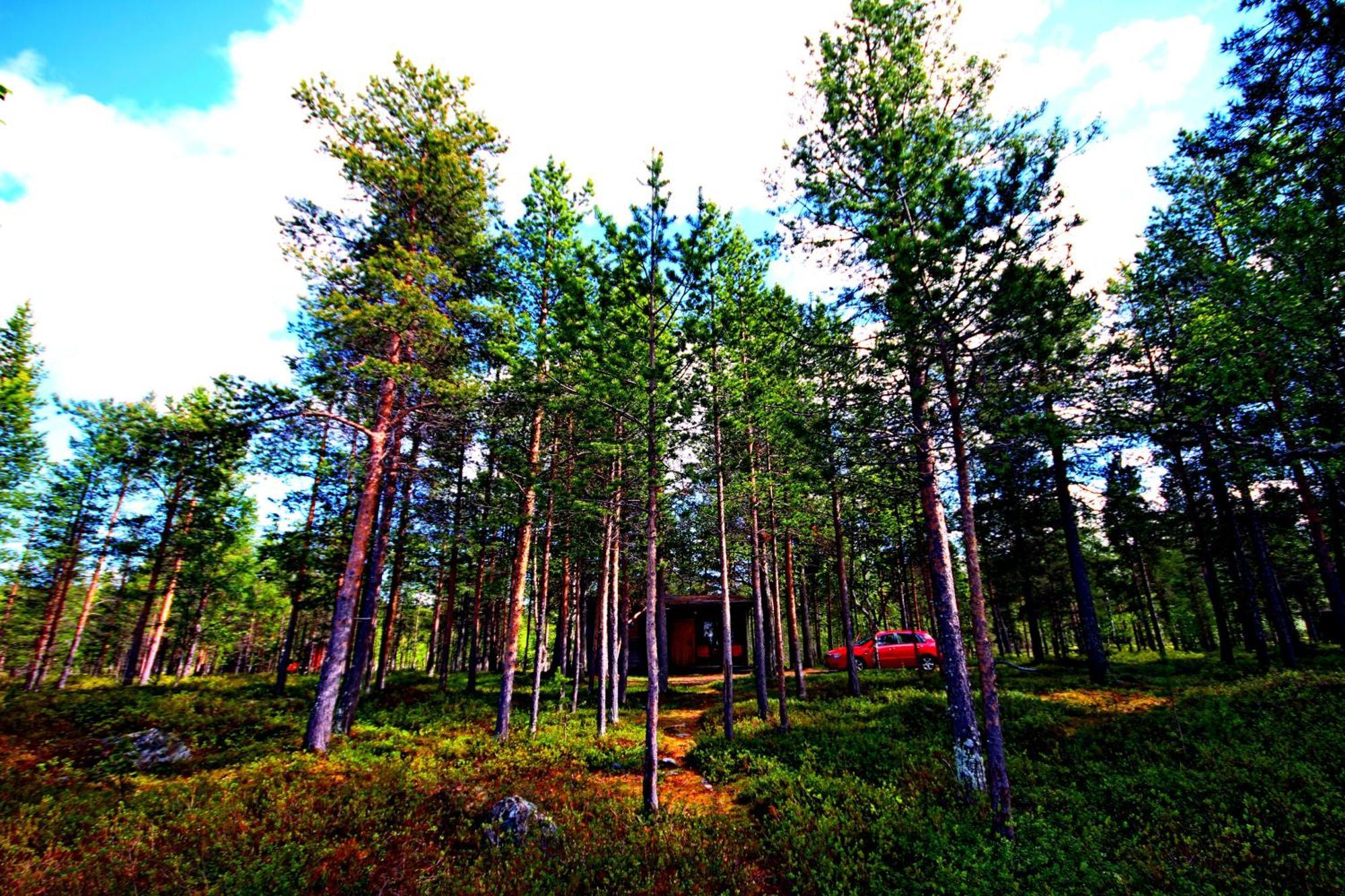 Ukonjaerven Holiday Village Ivalo Room photo