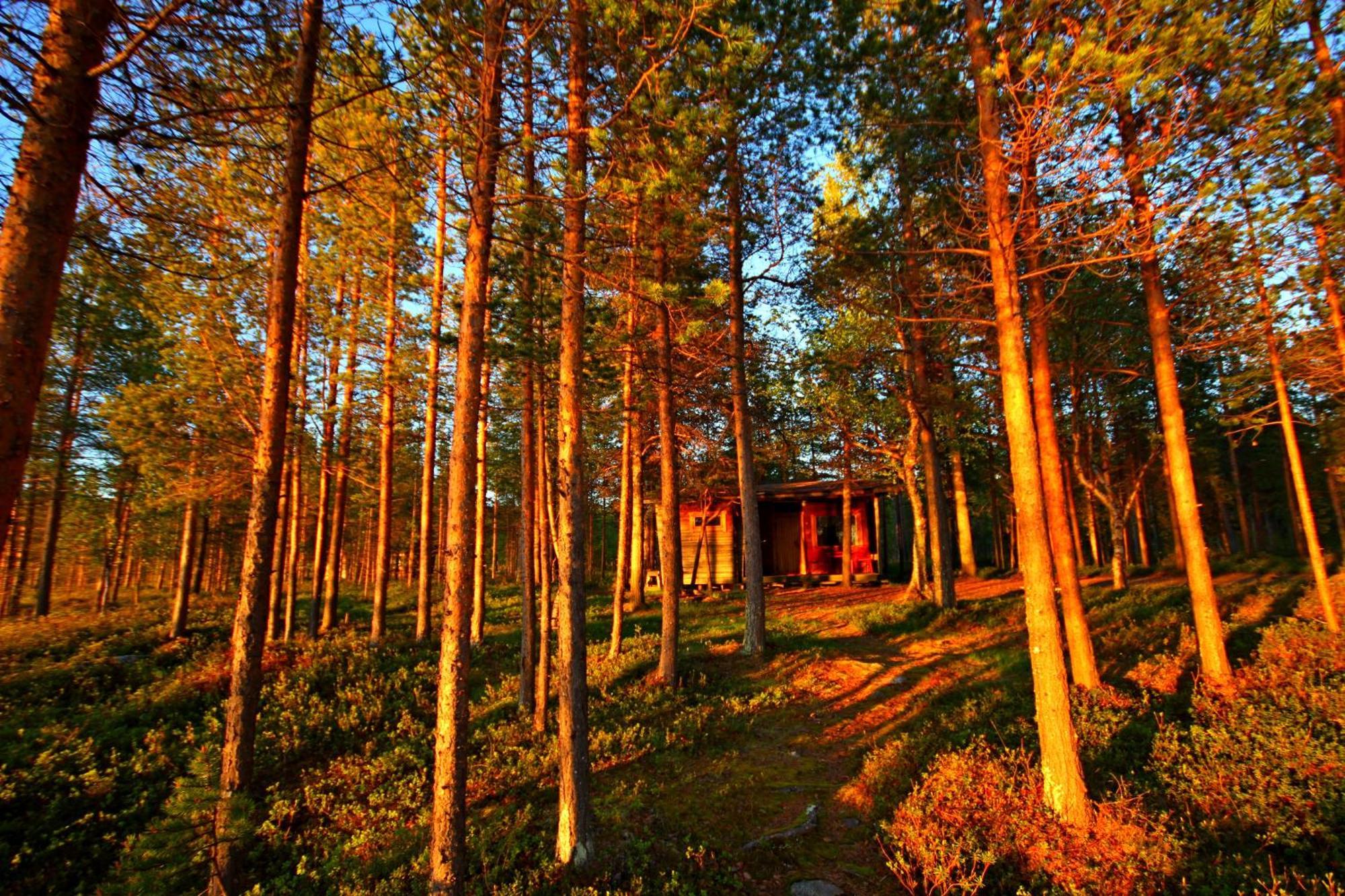 Ukonjaerven Holiday Village Ivalo Room photo