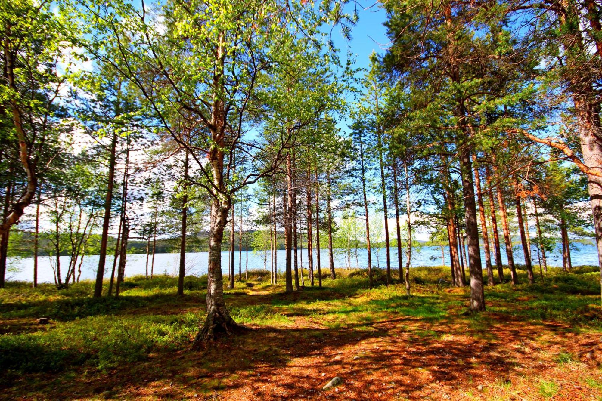 Ukonjaerven Holiday Village Ivalo Room photo